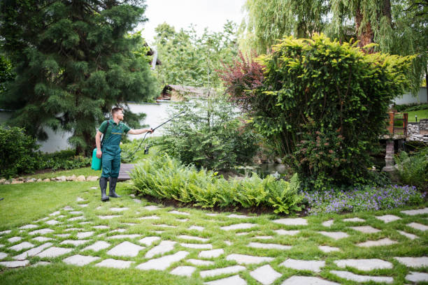 Best Insect Control  in Anoka, MN
