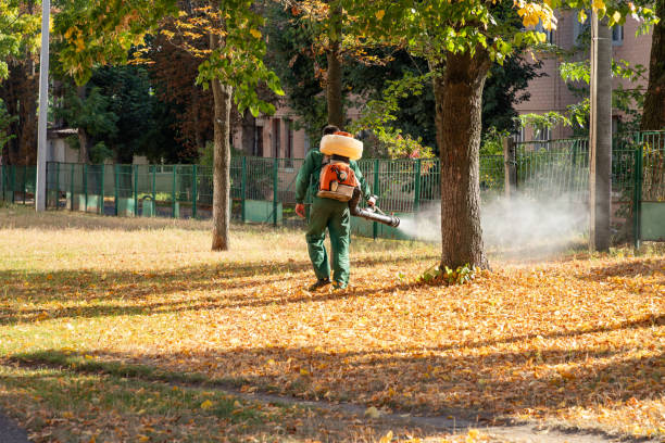 Best Affordable Pest Control Services  in Anoka, MN
