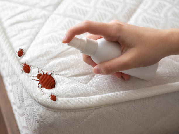 Best Commercial Pest Control Services  in Anoka, MN