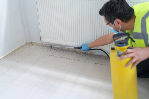 Best Ant Control Services  in Anoka, MN